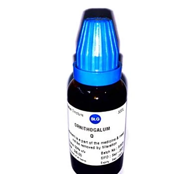 St George Ornithogalum Umbellatum 1X (Q) (30ml)