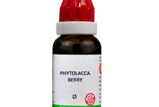B Jain Phytolacca Berry 1X (Q) (100ml) – Natural Weight Management and Metabolism Booster