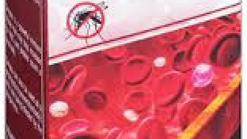 Lord’s Dengma Syrup (180ml): A Holistic Approach to Dengue Recovery