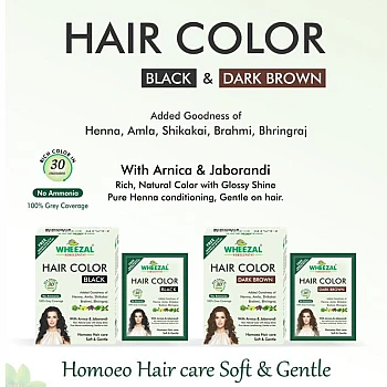 Wheezal Homoeopathy Hair Color