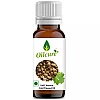 Oilcure Coriander Seed Oil (100ml)