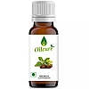 Oilcure Jojoba Oil (100ml)