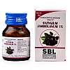 SBL Syzygium Jambolinum 1X (25g)