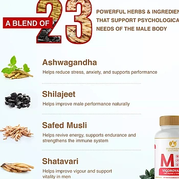 Maharishi Ayurveda Vigoroyal-M Tablets (10tab)