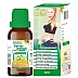 Bhargava Garcinia Cambogia Drops (30ml)