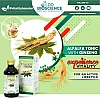 LDD Bioscience Alfalfa Tone With Ginseng (450ml)