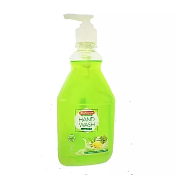 Baidyanath Hand Wash Aloe,Mint And Lime (500ml)