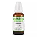 Similia India Asafoetida 1X (Q) (30ml)