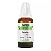 Similia India Ratanhia 1X (Q) (30ml)