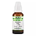 Similia India Ruta Graveolens 1X (Q) (30ml)