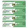 Dr Morepen Active Smile Herbal Toothpaste With Neem (100g, Pack of 4)