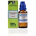 SBL Rhododendron Chrysanthum 10M CH (30ml)