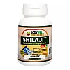 Bodywell Shilajit 500Mg Capsules (60caps)