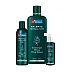 Dr Batras Hair Vitalizing Serum, Normal Shampoo And Hair Oil Combo (Serum 125ml + Shampoo 500ml + Oil 200ml) (1Pack)