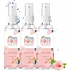 Dr Morepen Pure & Natural Rose Water Spray (100ml, Pack of 3)