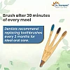 Dr Morepen Organic Bamboo Toothbrush For Adults (3 Toothbrush Blue, Brown & Charcoal) (1Pack)