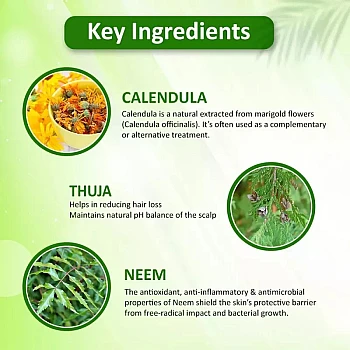 Omeo Anti Dandruff Shampoo (500ml, Pack of 2)