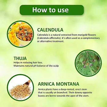 Omeo Arnica Shampoo (500ml, Pack of 2)