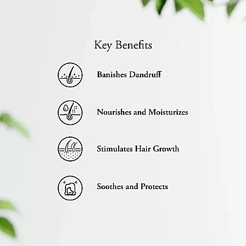 Sitaram Ayurveda Scurf Hair Oil (100ml)