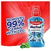 Colgate Maxfresh Plax Mouth Wash Peppermint (250ml)