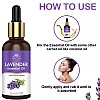 Intimify Lavender Essential Oil (30ml)