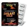 Riffway Shilajit Gold (10caps)