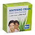 Yoko Whitening Aloe Vera Cream (4g)