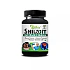 Riffway Shilajit Increase Stamina (30caps)