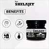 Earth King Pure Shilajit Resin Form (20g)