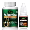 Riffway Male Booster Plus Capsules + Sexual Wellness Oil (60Cap + 15ml Oil) (1Pack)