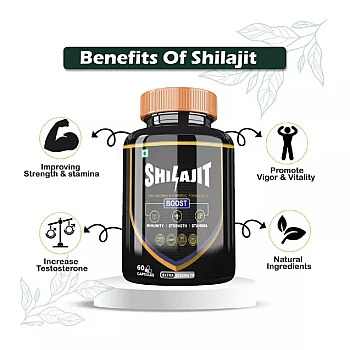 Divya Shree Shilajit Capsules (60cap)