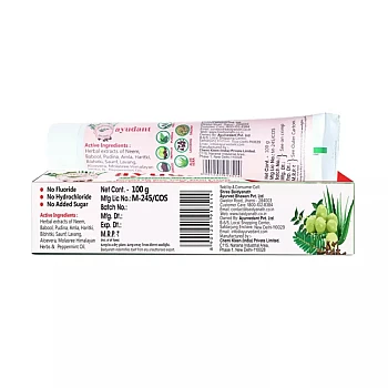 Baidyanath Ayurvedant Ayudant Herbal Toothpaste (100g, Pack of 2)