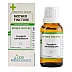 LDD Bioscience Syzygium Jambolanum 1X (Q) (30ml)