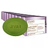 Jiva Ayurveda Basil Soap (100g, Pack of 8)