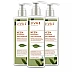 Jiva Ayurveda Neem Shampoo (200ml, Pack of 3)