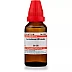 Willmar Schwabe India Levisticum Officinale 30 CH (30ml)