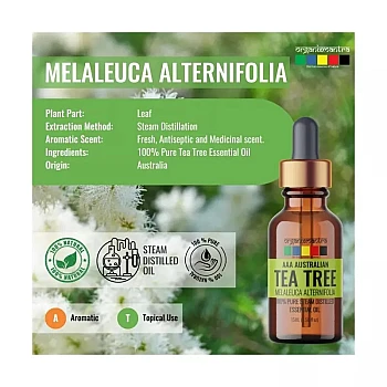 Organix Mantra Aaa Australian Tea Tree Essential Oil (15ml)