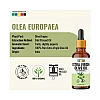 Organix Mantra Extra Virgin Olive Oil (30ml)