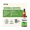 Organix Mantra Moringa Oil (30ml)
