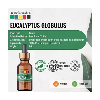 Organix Mantra Nilgiri Eucalyptus Essential Oil (15ml)