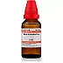 Willmar Schwabe India Rhus toxicodendron 6 CH (30ml)