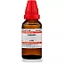 Willmar Schwabe India Leptandra 6 CH (30ml)