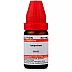 Willmar Schwabe India Antipyrinum CM CH (10ml)