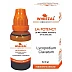 Wheezal Lycopodium Clavatum LM 0/23 (20g)