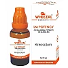 Wheezal Kreosotum LM 0/24 (20g)