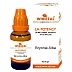 Wheezal Bryonia Alba LM 0/29 (20g)