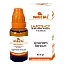 Wheezal Argentum Nitricum LM 0/30 (20g)