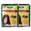 Bakson Sunny Hair Color (Burgundy) (20g, Pack of 10)