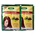 Bakson Sunny Hair Color (Burgundy) (20g, Pack of 10)