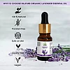 Hillpure Organic Lavender Essential Oil (10ml)